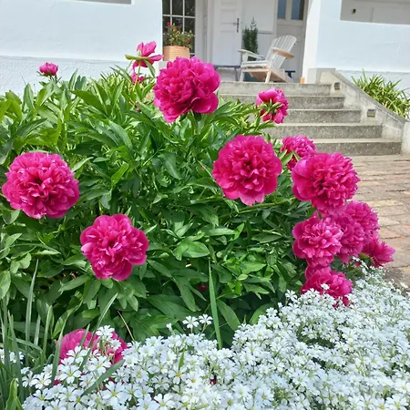 Tornacos Vendeghaz Guest house *