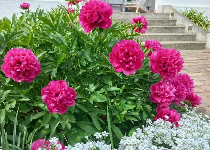 Tornacos Vendeghaz Gæstehus 4*